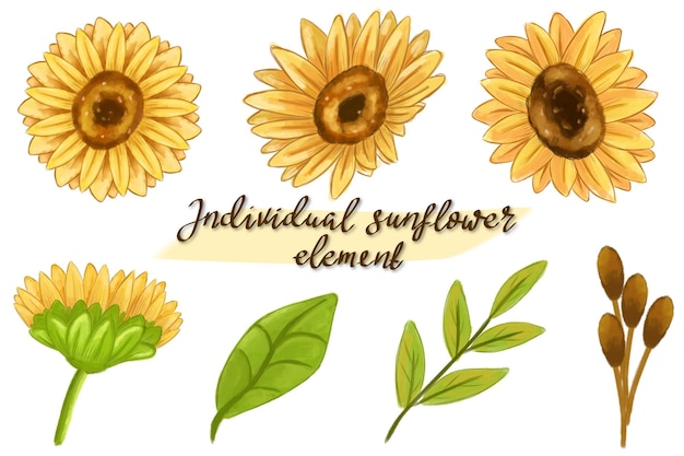 clipart set of sunflower arrangement and leaf petals in watercolor style