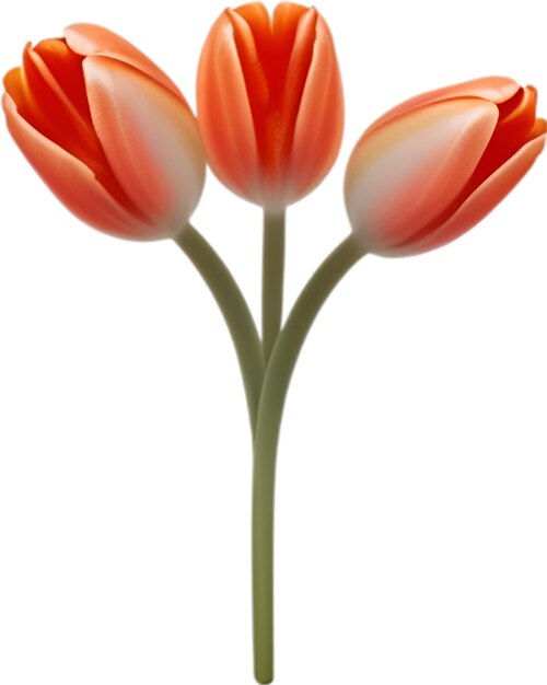 PSD clipart tulip ładna ikona kwiatu tulip