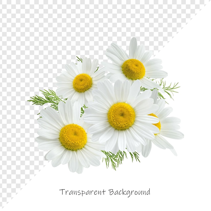 PSD 透明な背景の白い<unk>花の花束のクローズアップ