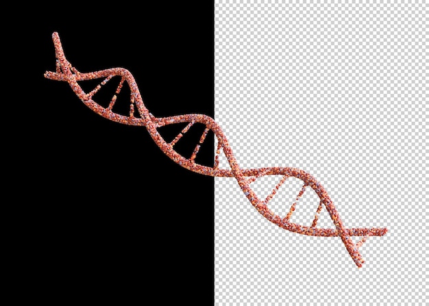 DNA構造のクローズアップ