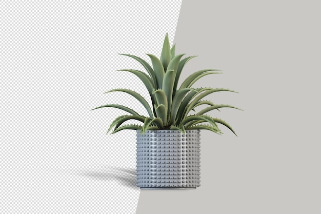 Close up on flower in pot interior 3d rendering