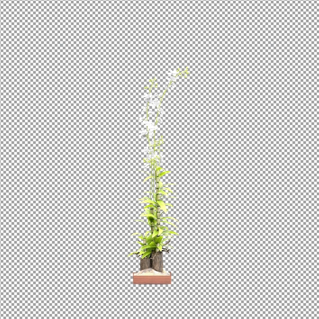 Close up on flower in a vase 3d rendering