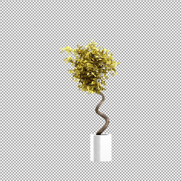 Close up on flower in a vase 3d rendering