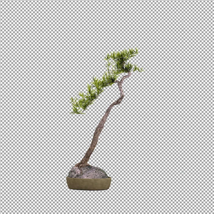 PSD close up on flower in a vase 3d rendering