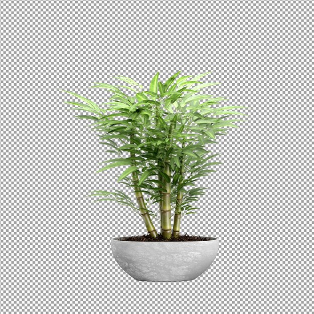 Close up on flower in a vase 3d rendering