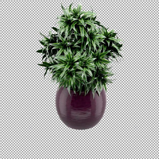 Close up on flower in a vase 3d rendering