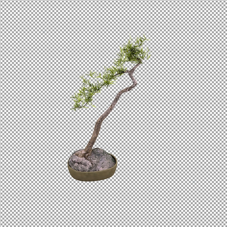 PSD close up on flower in a vase in 3d rendering