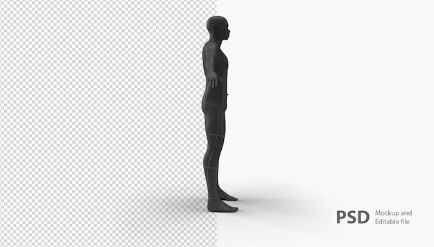 close up on mannequin man isolated