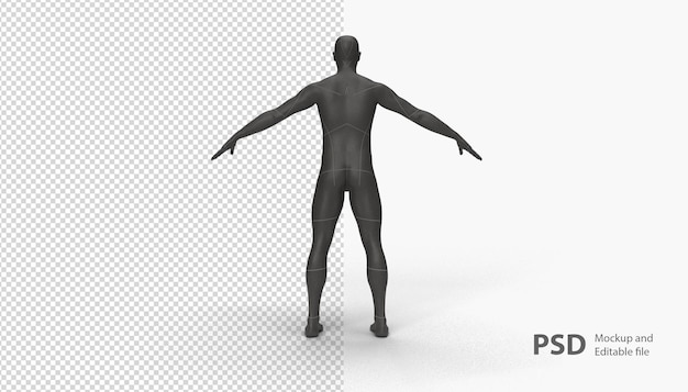 PSD close up on mannequin man isolated