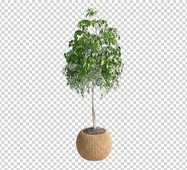 植物の3 dレンダリングにクローズアップ