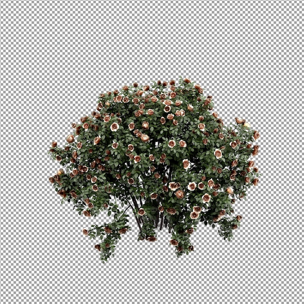 Close-up op bloem in een vaas in 3d-rendering