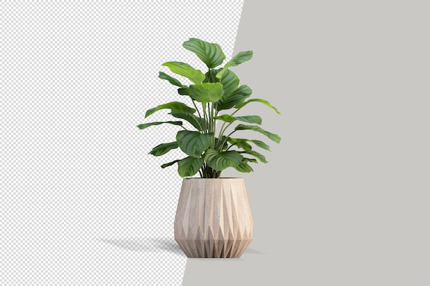 Close-up op bloemen in pot interieur 3d mockup