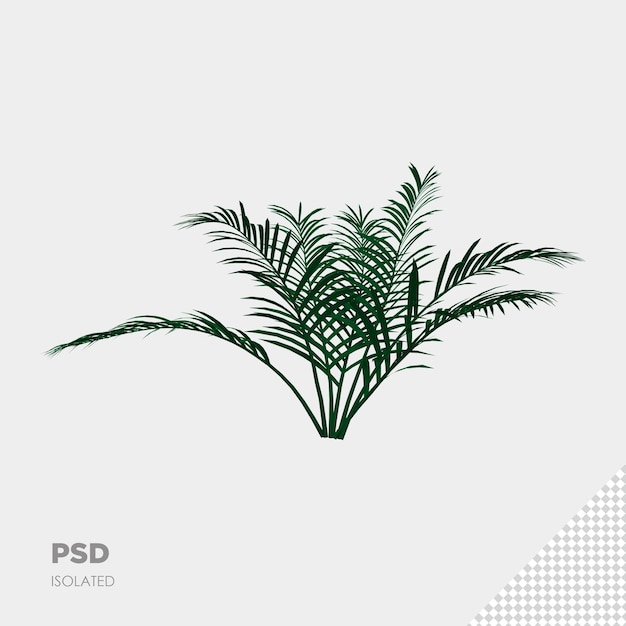 PSD close-up op plant 3d geïsoleerde premium psd