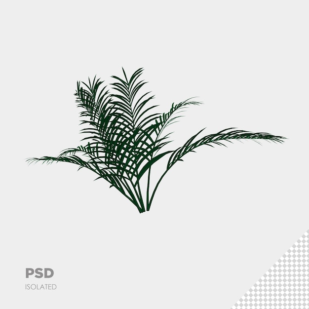 植物のクローズアップ3d分離プレミアムpsd