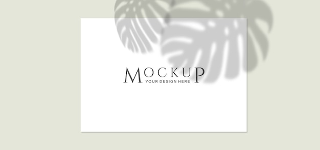 Close up on poster mockups with plant shadow 