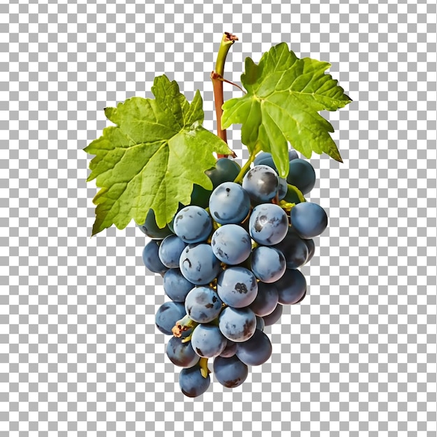 Close up of red grapes isolated on a transparent background