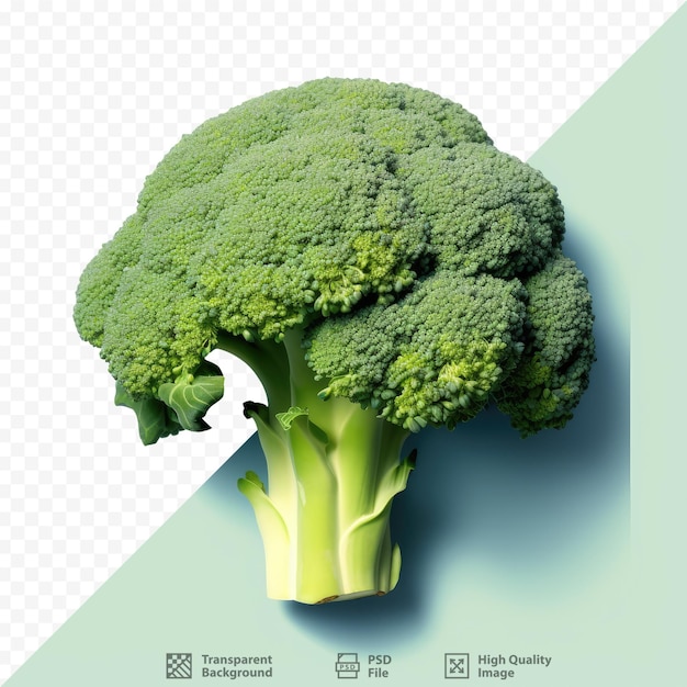 PSD close-up van transparante achtergrond met verse broccoli