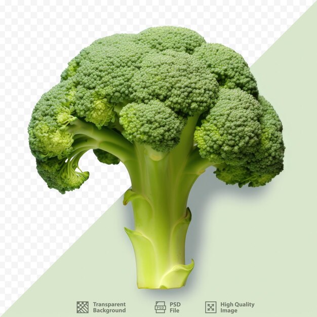Close-up di broccoli freschi su sfondo trasparente
