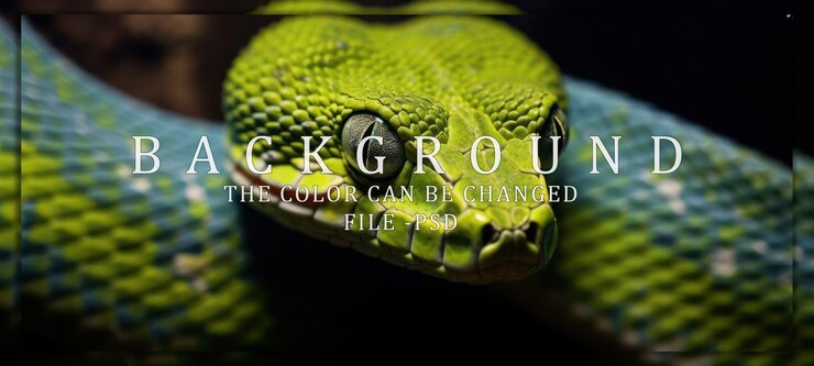 PSD closeup of a green tree pythons head