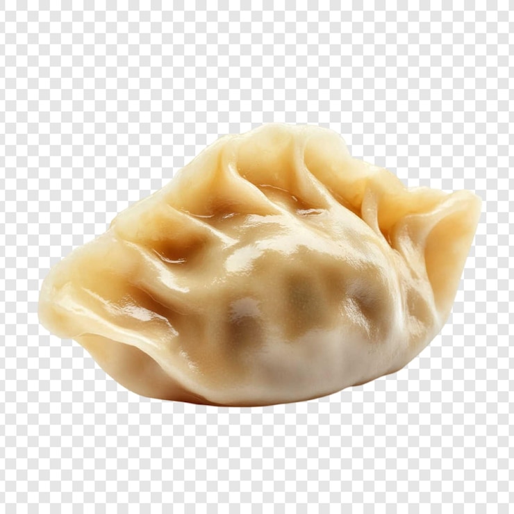 PSD closeup of a single delicious dumpling soft golden brown texture appealing food photography