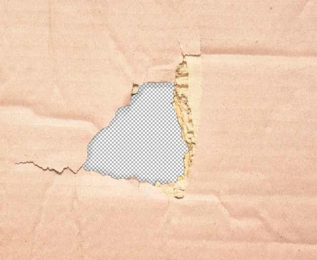PSD closeup of a piece of torn cardboard box background