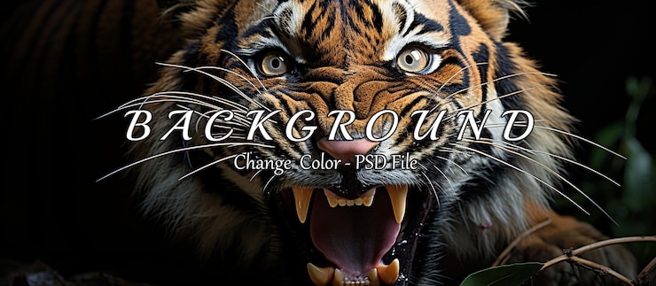 PSD closeup portrait of a roaring tiger