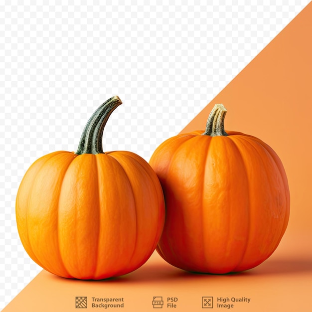 Closeup square format image of recipe concept for halloween cooking featuring two orange pumpkins on a transparent background with copy space