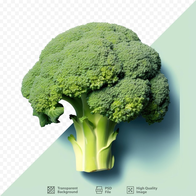 Primo piano di sfondo trasparente con broccoli freschi