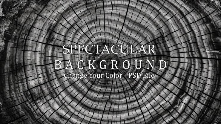 PSD closeup view of a textured tree ring and natural wood grain