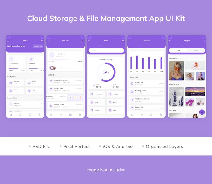 PSD cloud storage and file management app ui kit