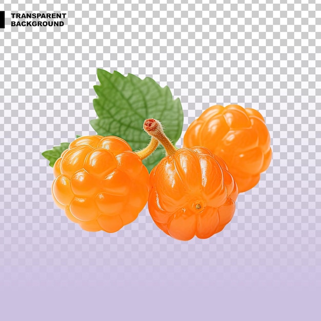 PSD cloudberry fruit on transparent background