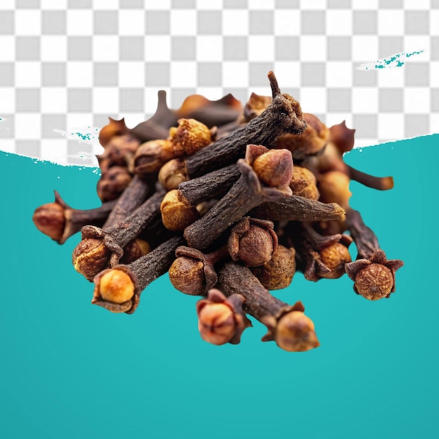 Cloves isolated on transparent background