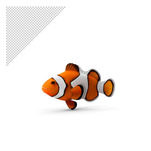 PSD clownfish png