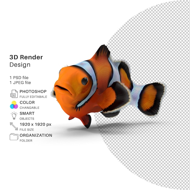 Clownfish Renderowania 3d
