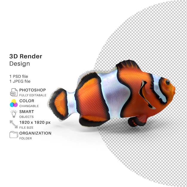 Clownfish Renderowania 3d