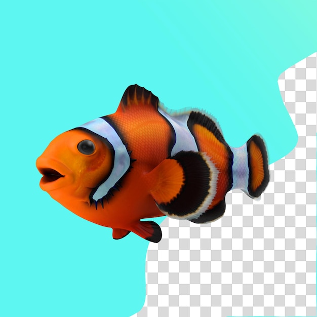 PSD clownfish on transparent background