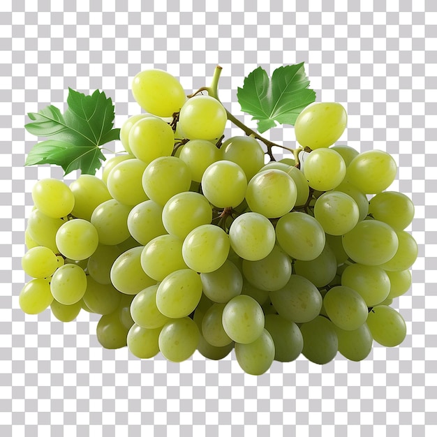 A cluster of green grapes isolated on transparent background