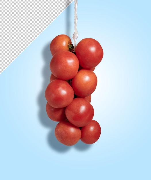 Cluster van verse tomaten hangend mockup