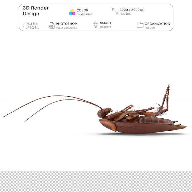 PSD cockroach 3d modeling psd file realistic cockroach