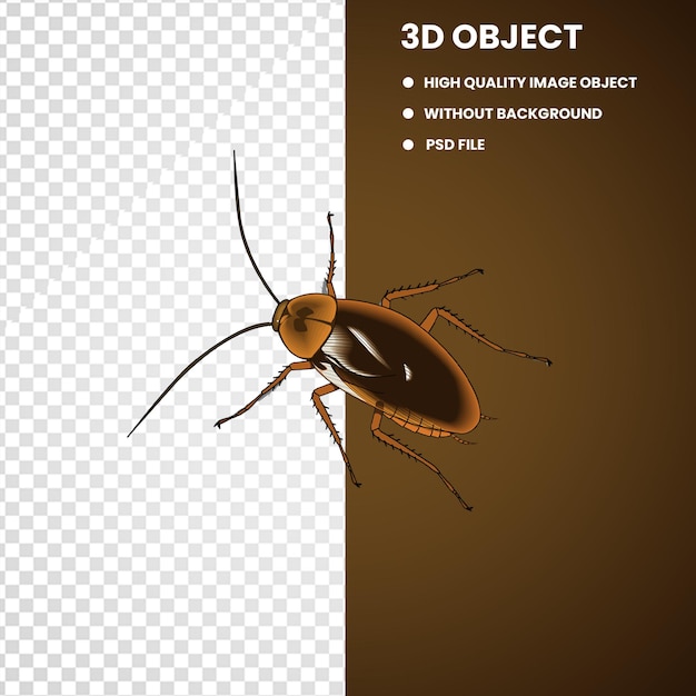 PSD cockroach