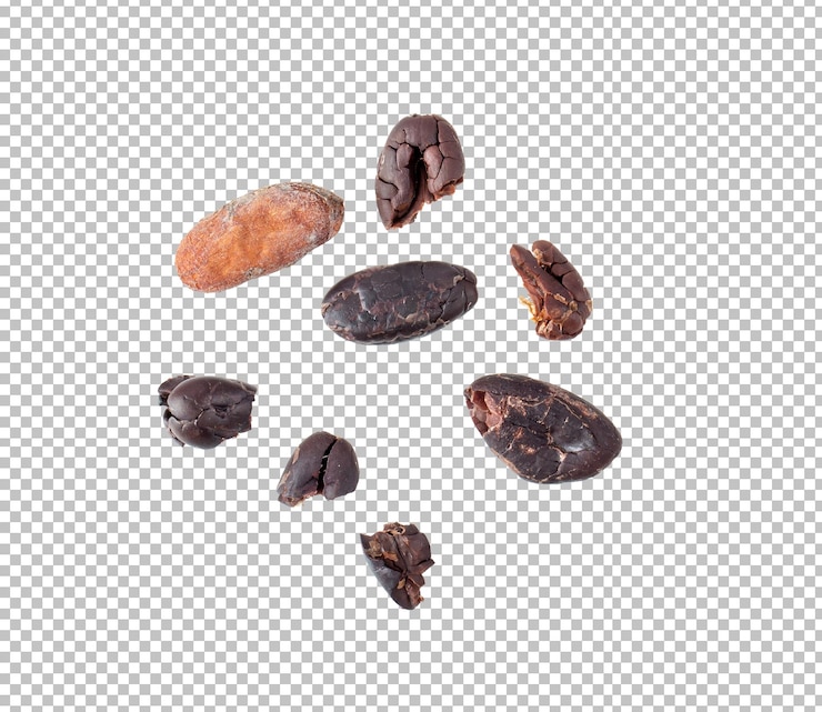 PSD cocoa beans isolated on alpha layer