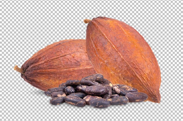 Cacao isolato su strato alfa