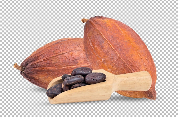 Cocoa isolated on alpha layer