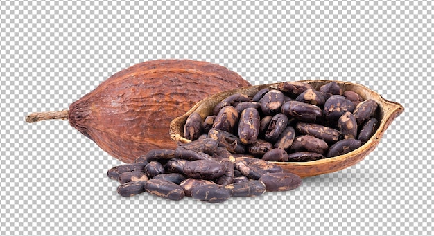 Cacao isolato su strato alfa