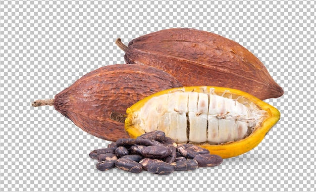 Cacao isolato su strato alfa