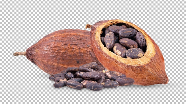 Cocoa isolated on alpha layer