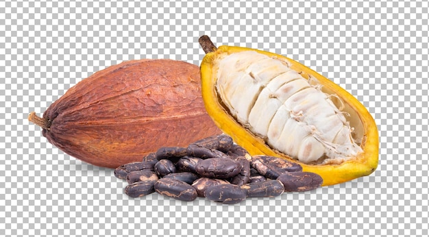 cocoa isolated on alpha layer