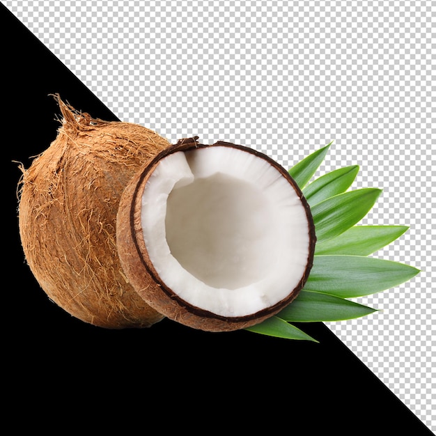 Coconut and Tropical Leaves Isolated PNG