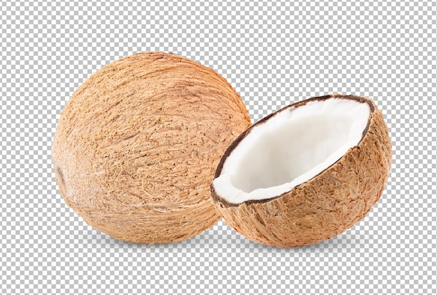 Noce di cocco isolata su strato alfa