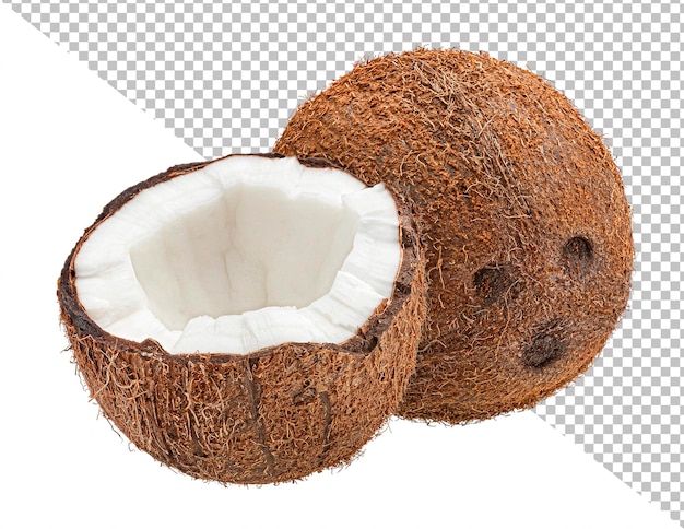 클리핑 패스를 사용하여 흰색 배경에 격리된 코코넛